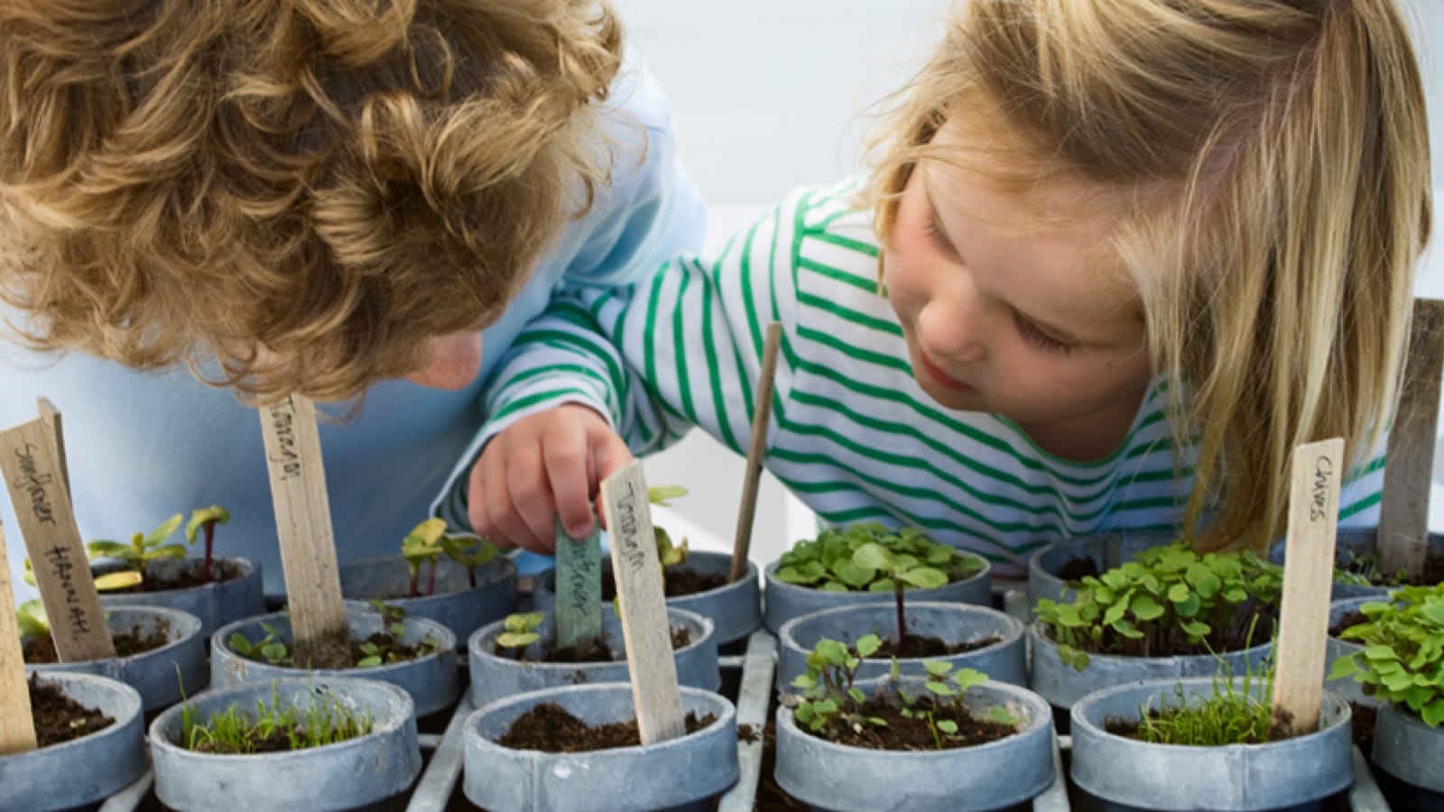 screen-free-large Family gardening